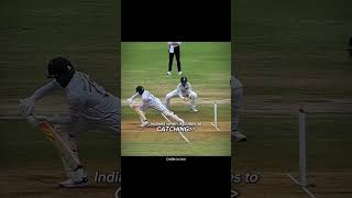 cricket reel reels viral [upl. by Annia]