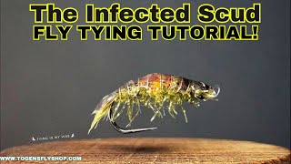 The Infected Scud  Fly Tying Tutorial [upl. by Enavi]