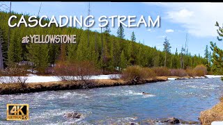 4K  Cascading Stream in the Yellowstone  Great Water Sounds [upl. by Onivag445]