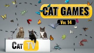 CAT Games  Ultimate Cat TV Bugs and Butterflies Compilation Vol 14 🪲 🐞🦋🦗🐜 Videos For Cats to Watch [upl. by Lachlan]