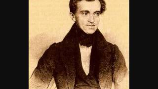 Marcha Radetzky  Johann Strauss I [upl. by Neelrak]