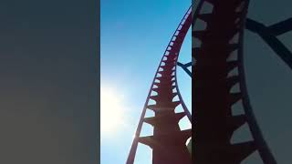 Sheikra Busch Gardens rollercoaster buschgardenstampa shortsfeed shorts [upl. by Notserk]