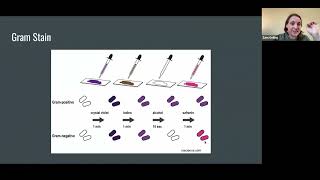 ISVMA MasterclassClinical Pathology4624 [upl. by Niamart]