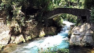 Parque Nacional Uruapan Mich [upl. by Werna]