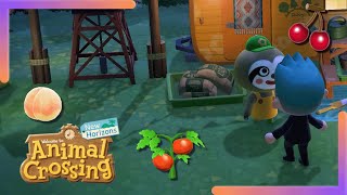 Alle Früchte Gemüse und Getreide bekommen  Animal Crossing New Horizons [upl. by Ived649]