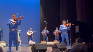 Rondinella  Mariachi Sol de México de José Hernández [upl. by Naitsirt537]