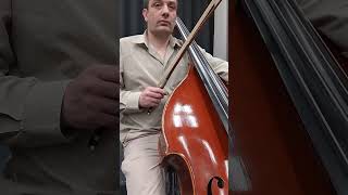 Mahler 5th symphony 4th movement Adagietto  double bass [upl. by Ardeha]