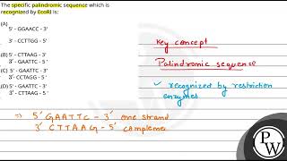 The specific palindromic sequence which is recognized by EcoRI is [upl. by Polito349]