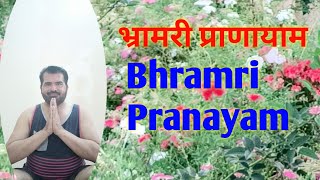 Bhramri pranayam bhramari pranayama rakeshrajouriya [upl. by Manvel276]