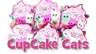 Blue Ocean CupCake Cats  UNBOXING [upl. by Brenna305]