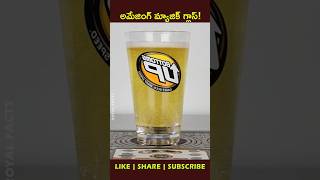 Beers🍻 from the bottom uphow factsintelugu youtubeshorts shortvideo [upl. by Clare]