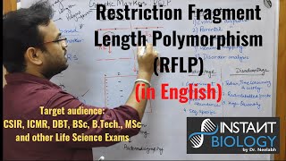 Restriction Fragment Length Polymorphism RFLP [upl. by Lochner]