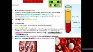 💓 IL SANGUE  gruppi sanguigni riassunto semplice [upl. by Eiclud606]