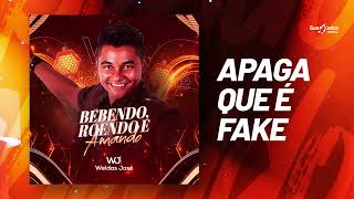 Weldas José  Apaga Que é Fake Áudio Oficial [upl. by Stortz]