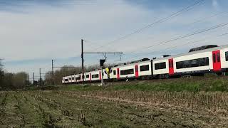 NMBS SNCB  AM08 MR08  Siemens Desiro ML  L53 Dendermonde  Brttrainz  Siemens  BE [upl. by Lyssa]