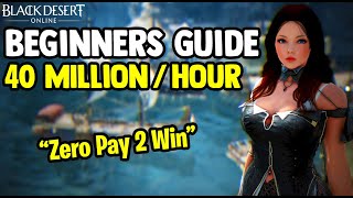 Black Desert Online BDO  Make 40 Million Silver Per Hour  Beginners Guide Zero Pay To Win [upl. by Acissey975]