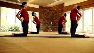 Common Yoga Protocol  36 Mins [upl. by Fawnia]