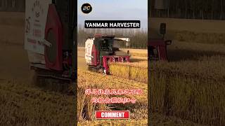 Yanmar harvester shorts yanmar harvester agriculture short [upl. by Nnylecyoj]