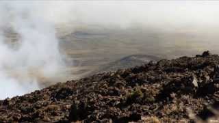 Hunting Mouflon Sheep In Hawaii [upl. by Idden]