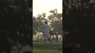 Punjab ❤️hsntiwana punjab panjab shorts fy fyp short video viral village nature [upl. by Attesoj]