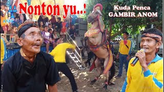 ATRAKSI KUDA PENCA GAMBIR ANOM quot BERAKSI DI LOJI quot ANAKKIDS [upl. by Cadel]