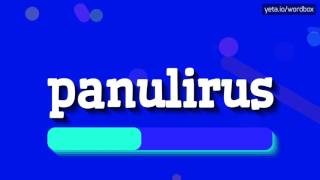 PANULIRUS  HOW TO PRONOUNCE IT [upl. by Diraj]