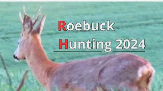 Bukkejagt 2024  Del 1 I Roebuck Hunting [upl. by Eellehs]