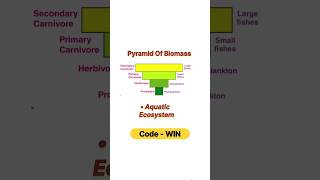 Pyramid of Biomass in aquatic ecosystem  neet neet2025 botany biology aiimsBotanyNeet [upl. by Eiuqram]