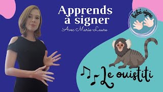 Le ouistiti 🐒 APPRENDS A SIGNER LA COMPTINE 🐒Tuto pour apprendre à signer la chanson 🐒 Bébé signes 🐒 [upl. by Eiboj]