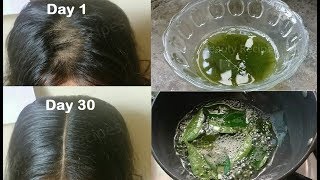 Homemade Curry Leaves Hair oil for Double Hair Growth Turn thin hair to thick hair get Long Hair [upl. by Alexis]