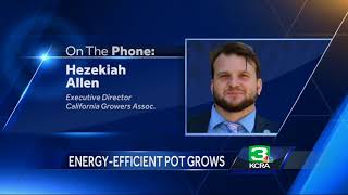 How commercial marijuana could alter California’s energy demands [upl. by Hayyifas]