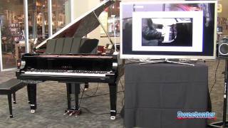 Sweetwaters Yamaha Piano Store Grand Opening Event [upl. by Anoyek]