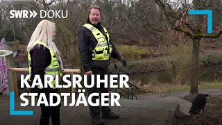 Wildtiere in der Großstadt  Die Karlsruher Stadtjäger  SWR Doku [upl. by Cowley]