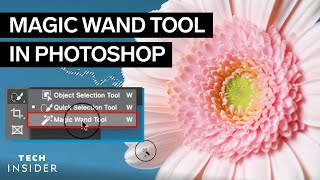 How To Use The Magic Wand Tool In Photoshop [upl. by Alaj]