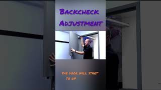 Commercial Door Closer Backcheck Adjustment shorts howto doors construction [upl. by Alaaj]