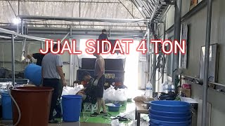 JUAL SIDAT 4 TON [upl. by Lehcear]