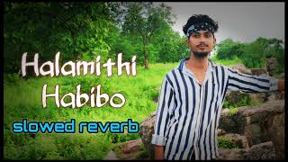 Arabic Kuthu  Halamithi Habibo  Song by Anirudh Ravichander and Jonita Gandhi slowed reverb [upl. by Potash]