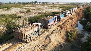 Road Building In The Background Are Stunning Dump Truck Huge Moving Dirt Power Dozer Pushing [upl. by Irb]