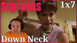 The Sopranos 1x7 Down Neck REACTION [upl. by Ahsekyt]