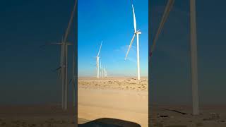 Wind power plant view windproject trending windpower today shorts shortvideo shortsfeed [upl. by Basso]