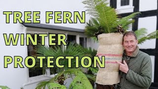 Tree Fern WINTER CARE [upl. by Arhoz]