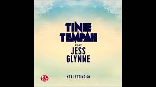 Tinie Tempah  Not Letting Go ft Jess Glynne Troyboi  Pole Mix [upl. by Rubio]