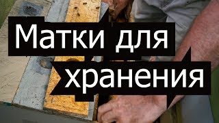 Пасека 36 Как быстро сделать нуклеус  Матки для хранения  Молодые матки ПасекаПчеловодство [upl. by Morna899]