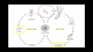 Mycology and Virology Short Course [upl. by Nonie]