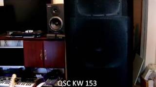 QSC KW 153 Long Term Review [upl. by Artsa112]