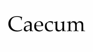 How to Pronounce Caecum [upl. by Nitsirhc68]