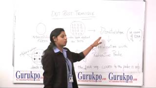 DOT BLOT TechniqueBScMSc by Ms Deepika Rathore [upl. by Posehn997]