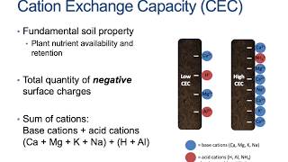 How to Calculate Soil Cation Exchange Capacity and Base Saturation [upl. by Schapira]