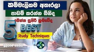 වැඩි ලකුණු ගන්න මෙහෙම පාඩම් කරන්න  5 best Study TechniQues amp Tips in Sinhala Bio Api [upl. by Cannice]