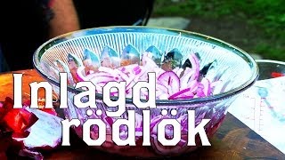 Inlagd rödlök  recept [upl. by Ueihttam]